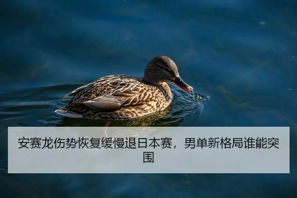 an-sai-long-shang-shi-hui-fu-huan-man-tui-ri-ben-sai-nan-dan-xin-ge-ju-shui-neng-tu-wei-2-584.jpg